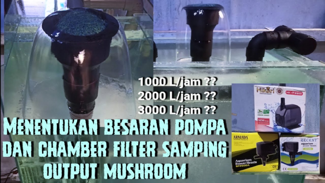MUSHROOM AQUARIUM Menentukan besaran pompa YouTube