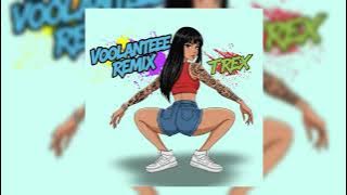T REX - VOOLANTEEE, OVID 16 ft. LIL DAM 21'7 (REMIX)