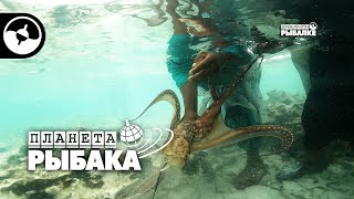 Зима на Занзибаре. Как ловят осьминогов | Планета рыбака