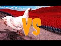 Ultimate Epic Battle Simulator 2 war vs war