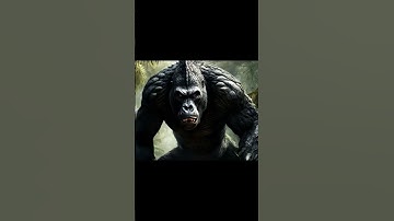 Crocodile VS Gorilla #shorts #ai #gorillatag #crocodile #animals #animalfusion