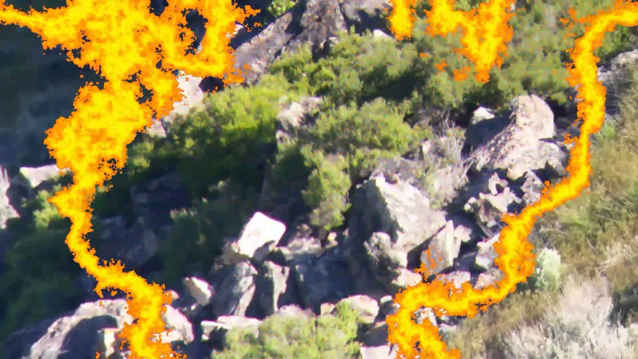 243AI  using 95 grain TMK on squirrel at 439 yards.