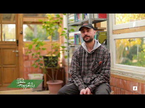 #არტიშოკი ეკოაქტივისტ დათა ცინცაძის ურბანული ბაღი