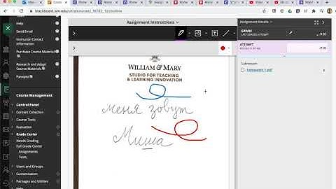 Grade an Assignment in Blackboard