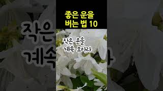 강한 의지를 품고 아름답게 행동하라   #shorts