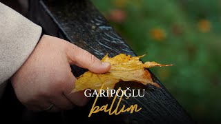 Garipoğlu - Ballim Resimi