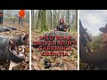 Drückjagd • Driven Hunt • Skupni Lov • Chasse Au Sanglier- Garešnica, Croatia