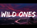 Flo Rida Wild Ones (feat. Sia) Lyrics (Mix) Robin Schulz Sugar (feat. Francesco Yates)...