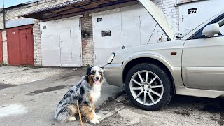 Пес, старая Subaru и новые запчасти.