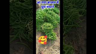 her her mahadev #viral #farming #indian #bm #youtubeshorts #shortsfeed #glaze #organic #agriculture