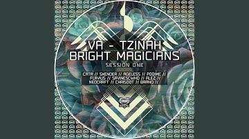 Number13 (Original Mix)