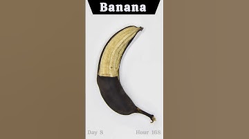 I Left a Banana for 22 Days, and This Happened #timelapse #banana