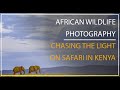 Wildlife Photography on Safari in Kenya: Chasing the light