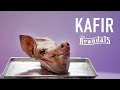 Capture de la vidéo The Brandals - Kafir