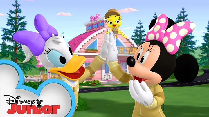 Minnies Dream Home  | Mickey Mornings | Mickey Mou...