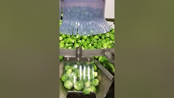 Commercial Sprouts Packaging | High Tek USA Food Packing Systems | 5.5L 14 Head STANDARD WEIGHER