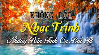 Nhạc Trịnh Không Lời Bất Hủ Để Đời, Nhạc Phòng Trà Những Bản Tình Ca Bất Tử Nghe Mãi Vẫn Hay