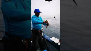 What a trip action, action and more action. Deepsea fishing Durban on M/V Simply the best