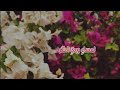 كلمات ماجدة الرومي ماجدة الرومي كلمات اغاني
