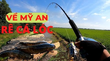 CÂU CÁ LÓC : MỸ AN BÃI ĐẸP CÁ NHIỀU #caucaloc #recaloc #5râuđivàcâu #fishing