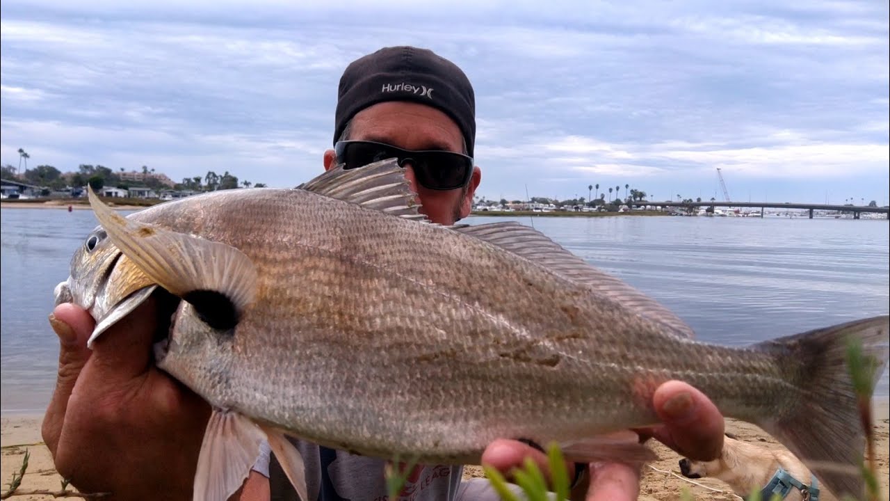 Fishing with bait in Newport Harbor! Awesome catch! YouTube