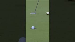 Can It Get Any Better Than This  Nelly Drains Her 4th Birdie To Take The Lead To 8 Strokes