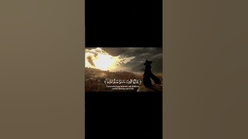 تلاوة نادرة وخاشعة بصوت بدر التركي | قرآن كريم يلامس القلوب #quran #حالات_واتس #explore #بدر_التركي