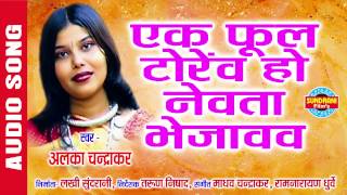 EK FUL TOREV HO - एक फुल टोरेव हो - BIHAV NEVTA - CG SONG - ALKA CHANDRAKAR - BIHAV GEET