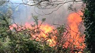 Incêndio na mata, em Vila Fria, Viana do Castelo