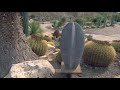 Jardín de cactus (Cactus Níjar) (montaje final)