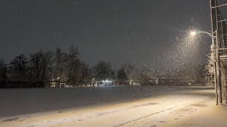 Early Morning Park With Snow And Strong Wind, White Noise For Insomnia And Sleep