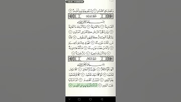 سورة التكاثر - للشيخ عبد الرشيد صوفي