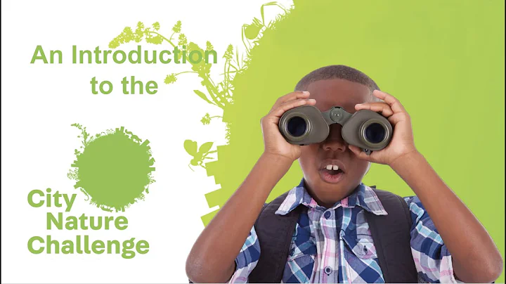 An Introduction to the City Nature Challenge