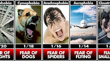 Probability Comparison: Fear & Phobia | InfoRanker
