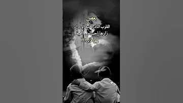 القلوب النادرة تشبه الورد 
