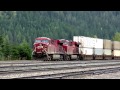 Kicking horse pass  field to golden