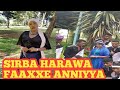Sirba Koo Harawa Issin Biran Gahuuf Qophira Jira Guutu Isaa Argaachun Zamoonati Naa Egaadha 