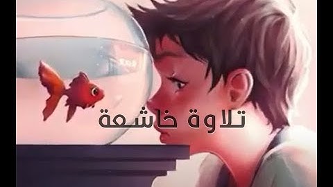 قرآن كريم || أجمل حالات واتس اب دينيه 🖤 || تلاوة خاشعة 🌘😴