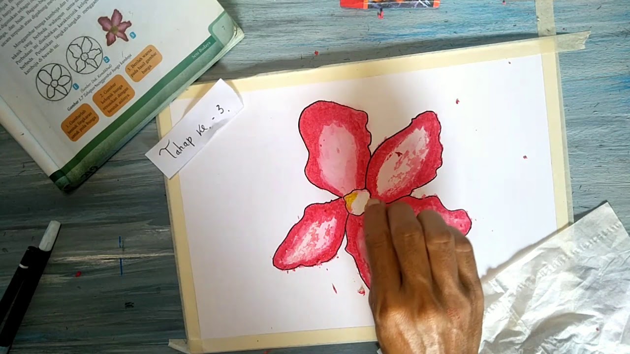 Gambar bunga kamboja. - YouTube
