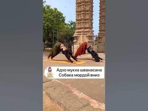 Сурья Намаскар — Приветствие Солнцу - YouTube