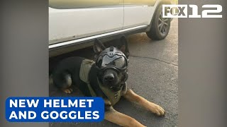 Yamhill County K-9 gets new helmet, safety goggles through generous donation