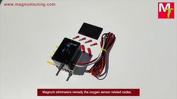 Magnum Diesel Oxygen Sensor Eliminator   Heated   Get rid of CEL