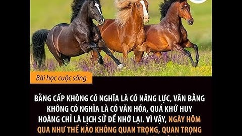 CON NGỰA CHỜ LÀM NGHIỆP LỚN