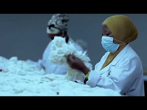 ZAO LA PAMBA MKAKATI MPYA WA SERIKALI PEMBEJEO NA MBEGU KUTOKA SERIKALINI