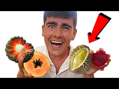 Video: Frugter, som du skal prøve i Brasilien