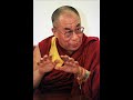 China and Britain: tension over the Dalai Lama's visit to the UK
