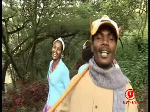 Araarsaa Gabbisaa Yaamaakodii 