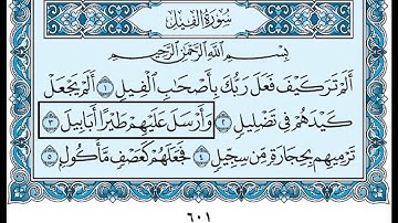 105- سورة الفيل بصوت القارئ الشيخ سعود الشريم Surat Al-Feel - Saud Al-Shreem