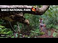 Into The Wild - Bako National Park | you won't believe this place exists