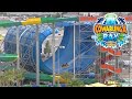 Cowabunga Bay Las Vegas Waterpark Tour & Review with Ranger